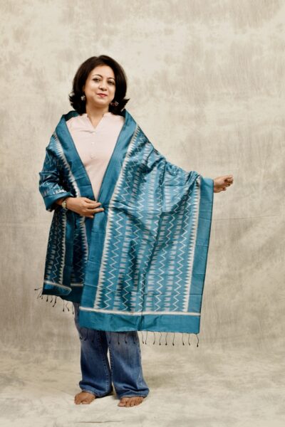 Anika - Ikkat Weave Stole